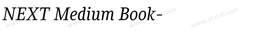 NEXT Medium Book字体转换